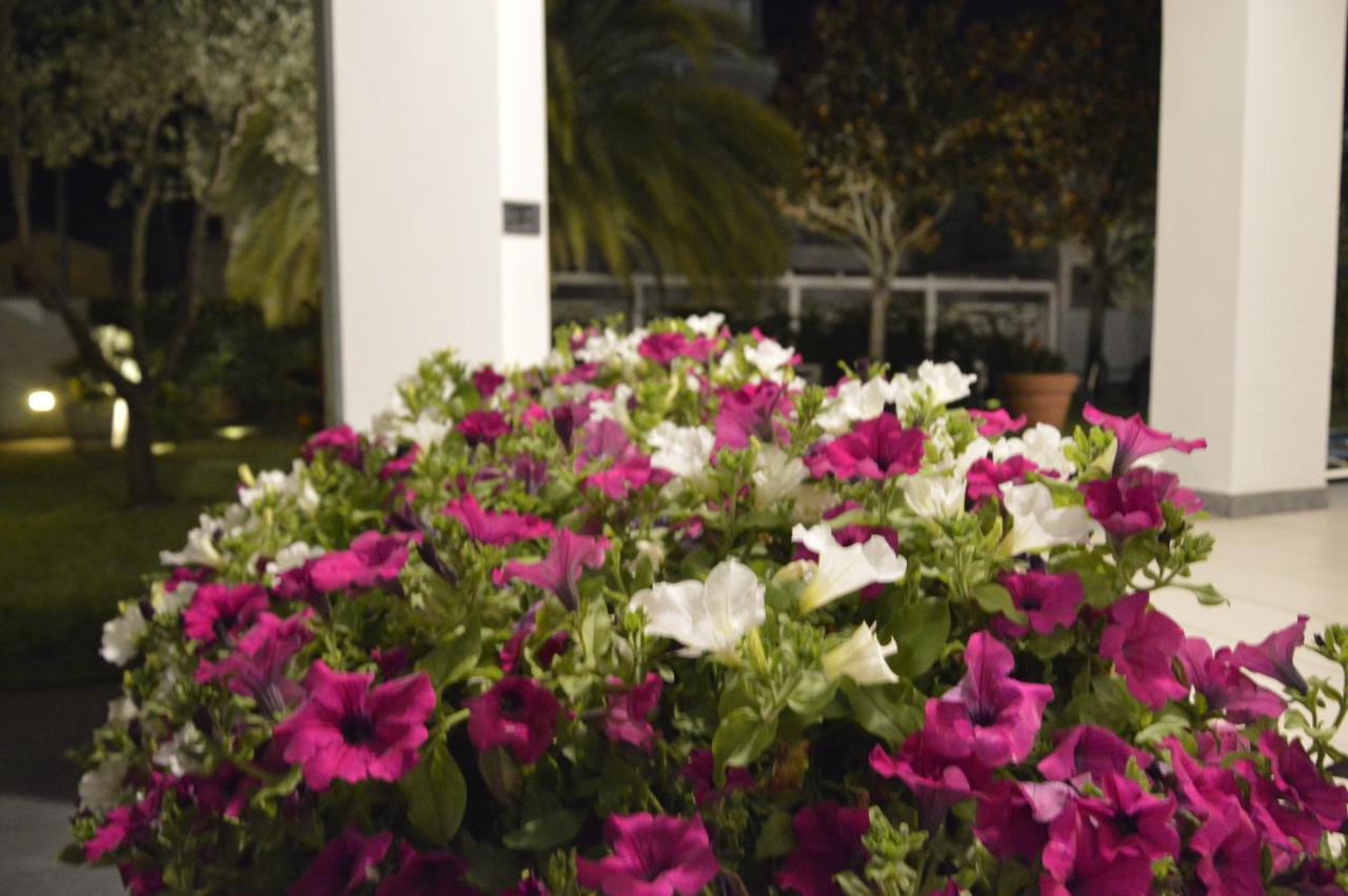 Hotel Fortunella Lido di Camaiore Extérieur photo